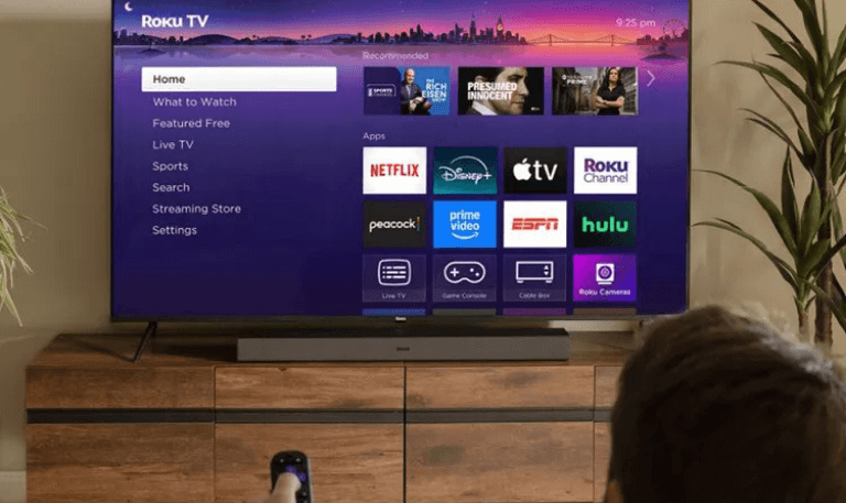 Turn Off Voice on Roku
